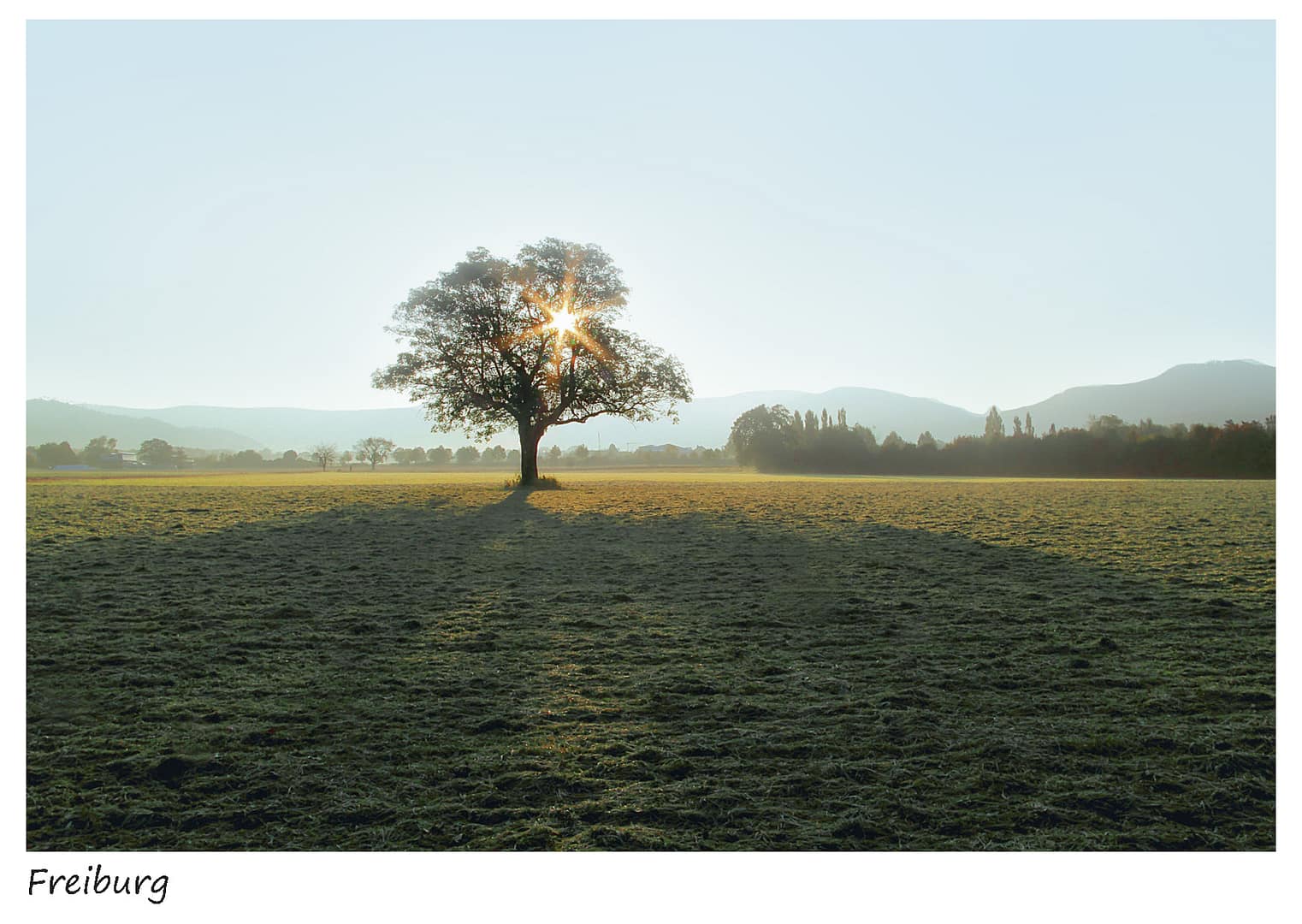 Dreisamtal im Herbst