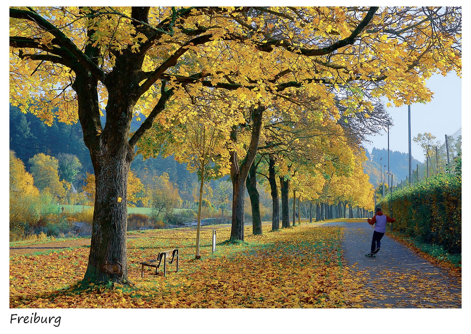 Dreisamweg im Herbst