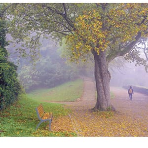 Kanonenplatz im Herbst