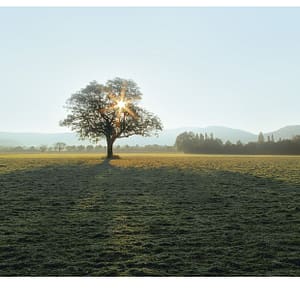 Dreisamtal im Herbst