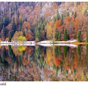 Herbst Winter Melange Feldsee