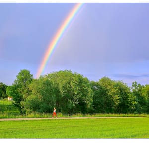 Farbenprächtiger Dreisamweg