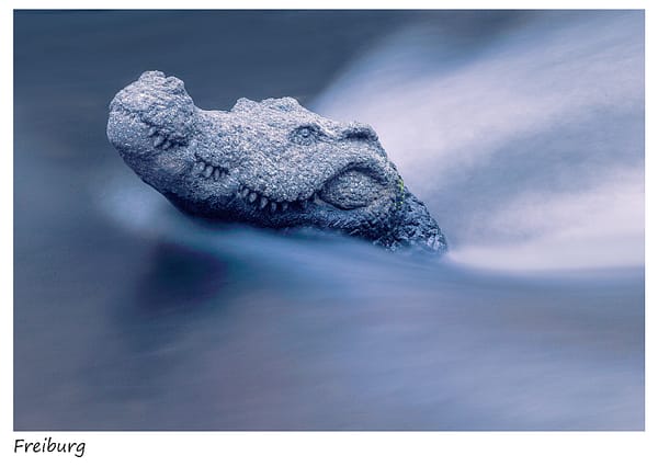 Krokodil Gerberau