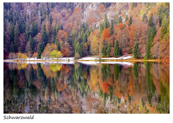 Herbst Winter Melange Feldsee